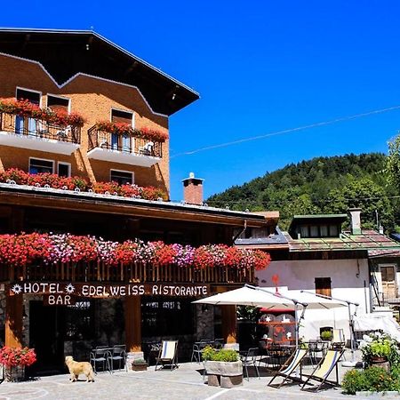 Hotel Edelweiss Limone Piemonte Eksteriør bilde