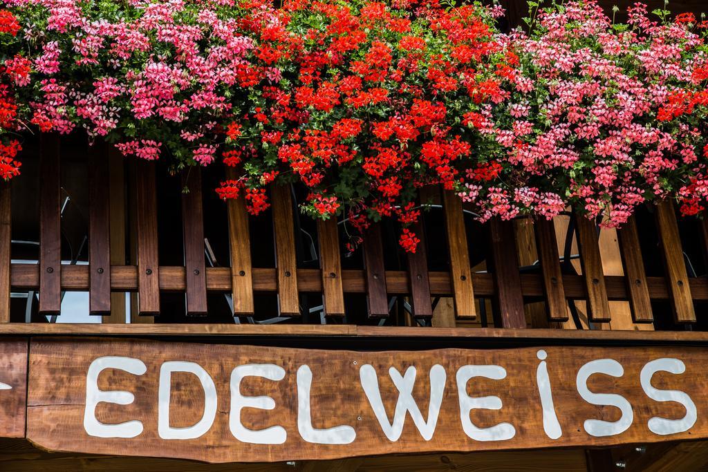 Hotel Edelweiss Limone Piemonte Eksteriør bilde